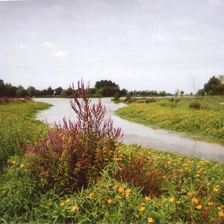 Gite Habas Exterior photo